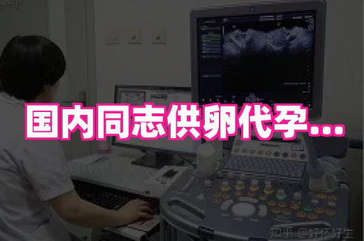 梦美助孕网 1