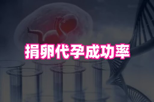 梦美助孕网 3